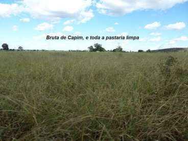 Fazenda 230ha nova xavantina mt