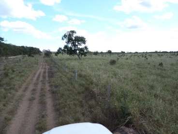 Fazenda 230ha nova xavantina mt