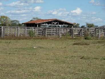 Fazenda 366 há - nova xavantina-mt