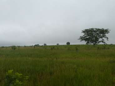 Fazenda 3.745ha em rio verde - 222