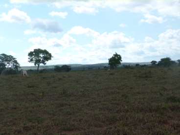 Fazenda 4.000ha chapada - 255