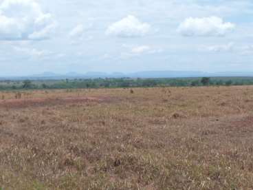 Fazenda 4.150ha pedra preta /mt - 254