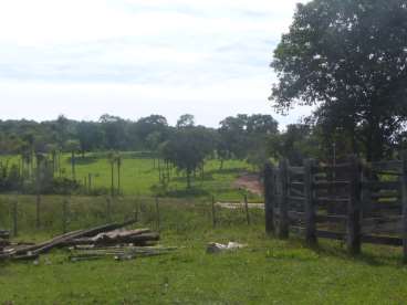 Fazenda 500ha em camapua - 220