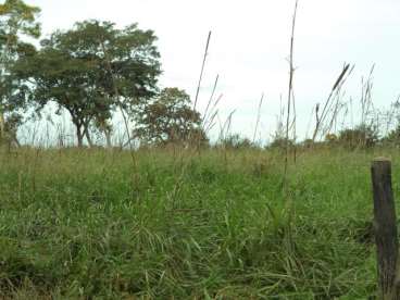 Fazenda 5km do rio cristalino em cocalinho mt