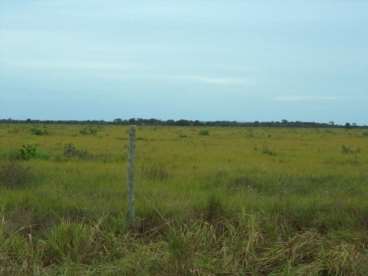 Fazenda 5km do rio cristalino em cocalinho mt