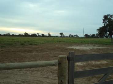 Fazenda 5km do rio cristalino em cocalinho mt