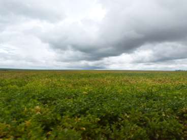 Fazenda 6.000ha soja brasnorte - mt - 202