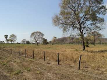 Fazenda 8.600ha no pantanal - 217