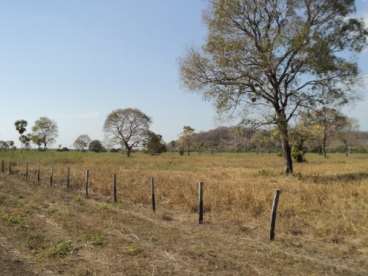 Fazenda 8.600ha no pantanal - 217