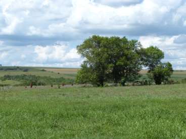 Fazenda 890ha em jaraguari - 211