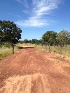 Fazenda 897 ha as margens da to-130 novo acordo-to