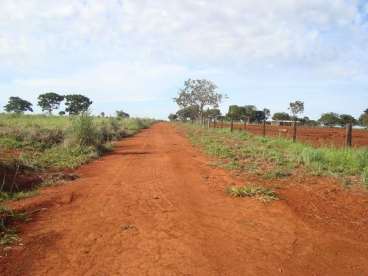 Fazenda 985 há - sao jose do couto-mt