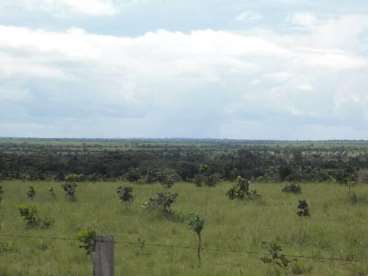 Fazenda a venda 1.280 hectares