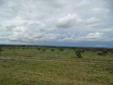 Fazenda a venda 1.280 hectares