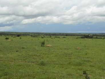 Fazenda a venda 1.280 hectares