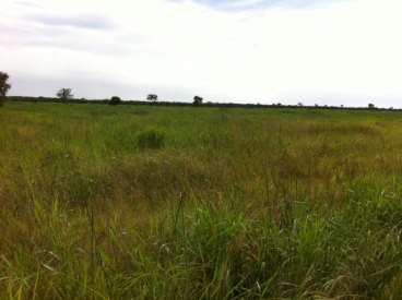 Fazenda a venda em araguaiana 2600 ha