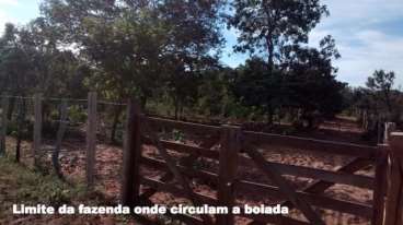 Fazenda a venda em bom jesus - pi 2675 ha