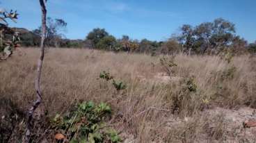 Fazenda a venda em bom jesus - pi 2675 ha