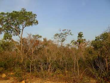 Fazenda a venda em correntina - oeste da bahia