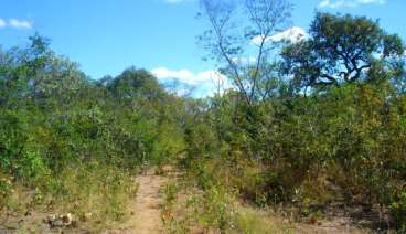 Fazenda a venda em correntina - oeste da bahia