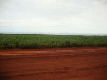 Fazenda a venda em figueirópolis - to 1306 ha.