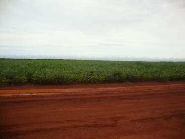 Fazenda a venda em figueirópolis - to 1306 ha.