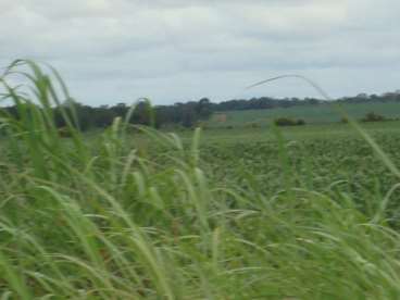 Fazenda a venda em figueirópolis - to 1306 ha.