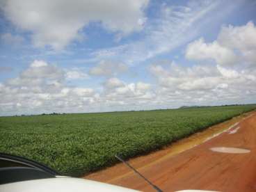 Fazenda a venda em figueirópolis - to 1306 ha.