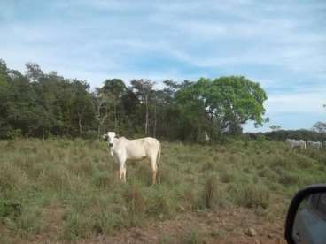 Fazenda a venda em marianópolis - to 2057 ha.