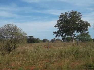 Fazenda a venda em marianópolis - to 2057 ha.