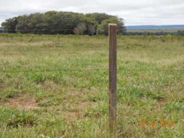 Fazenda a venda em nova mutum - mt