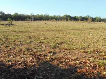 Fazenda a venda em paranatinga 1.060 hectare
