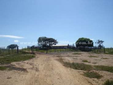 Fazenda a venda em paranatinga 7.600 há