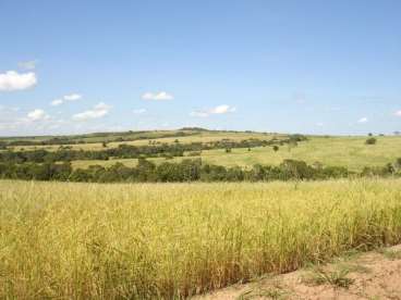 Fazenda a venda em paranatinga 7.600 há