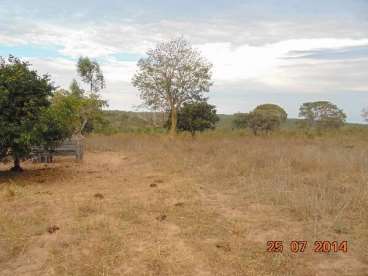 Fazenda a venda em paranatinga