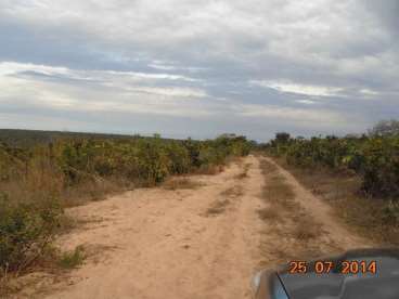 Fazenda a venda em paranatinga