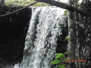 Fazenda a venda em paranatinga