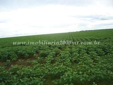 Fazenda a venda em paranatinga 26.000 há