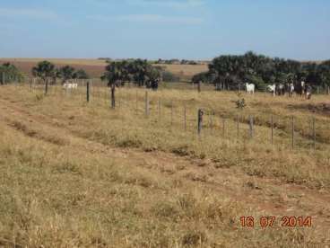 Fazenda a venda em paranatinga 509 há