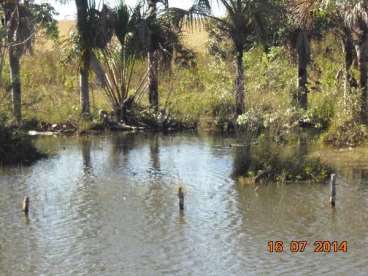 Fazenda a venda em paranatinga 509 há