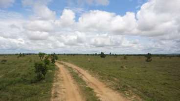 Fazenda a venda em paranatinga 537 ha