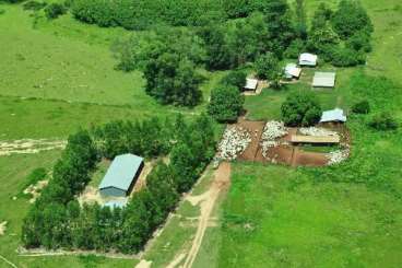 Fazenda a venda em paranatinga 8.037,46 há