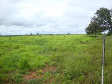 Fazenda a venda em peixe - to 2323 ha.