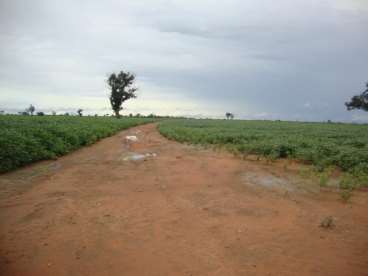 Fazenda a venda em peixe - to 2323 ha.