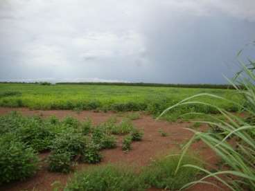 Fazenda a venda em peixe - to 2323 ha.