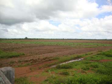 Fazenda a venda em peixe - to 2420 ha