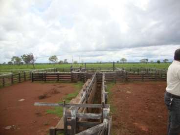 Fazenda a venda em peixe - to 2420 ha