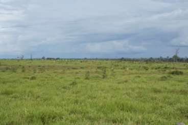 Fazenda a venda em peixoto de azevedo 14.800 há