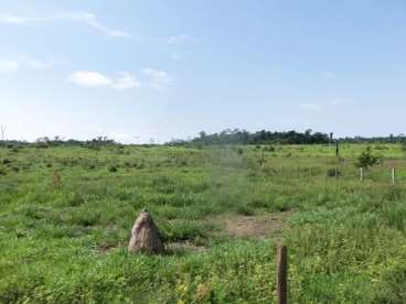 Fazenda a venda em peixoto de azevedo 14.800 há