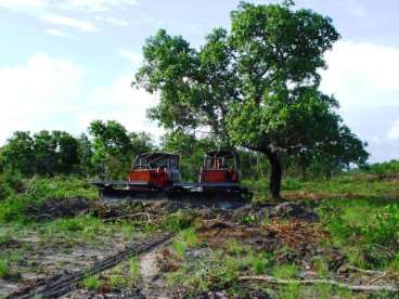 Fazenda a venda em peixoto de azevedo